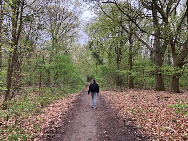 Stacaravan Huren In Het Hart Van Bosrijk Drenthe Op Recreatiepark De Tien Heugten Schoonloo Eksteriør bilde