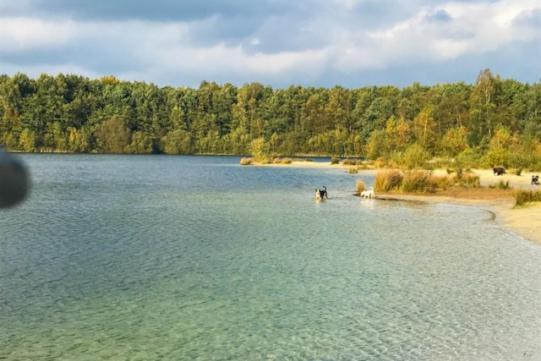 Stacaravan Huren In Het Hart Van Bosrijk Drenthe Op Recreatiepark De Tien Heugten Schoonloo Eksteriør bilde